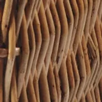 NFL Tampa Bay Buccaneers Champion Picnic Basket