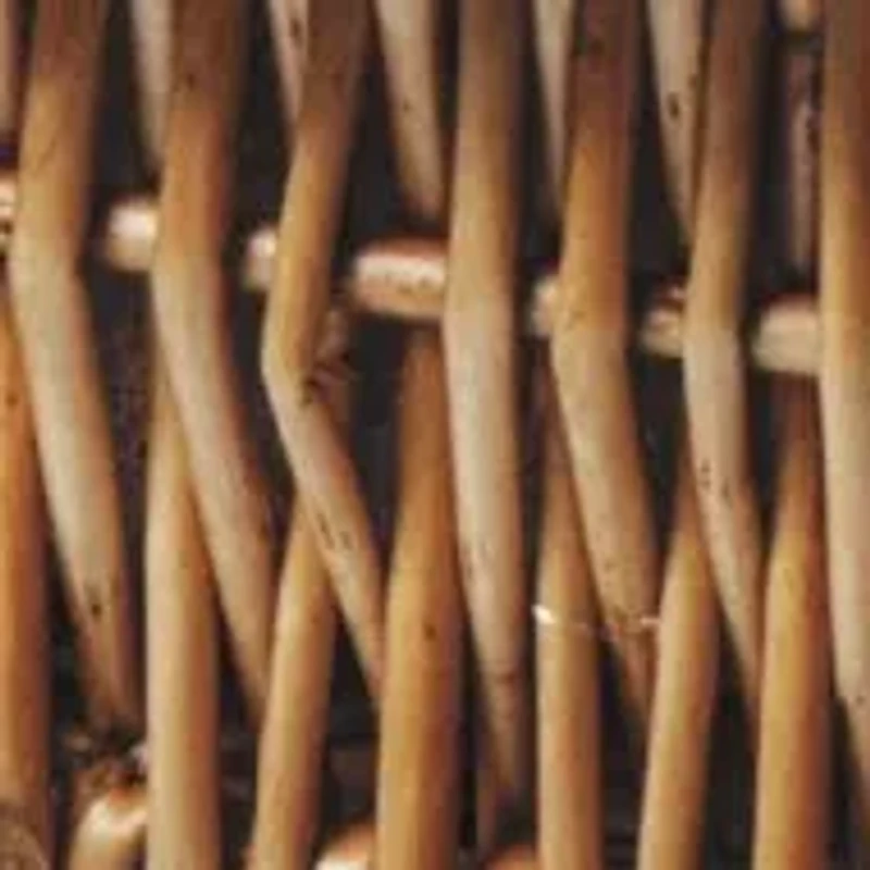 NFL Los Angeles Chargers Champion Picnic Basket