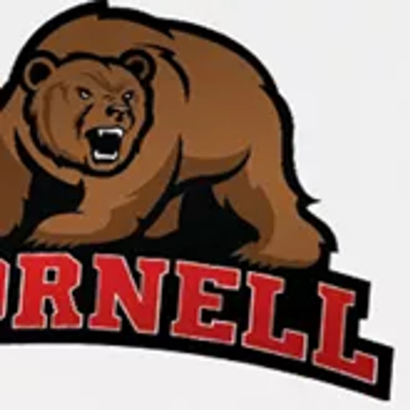 NCAA Cornell Big Red Champion Picnic Basket