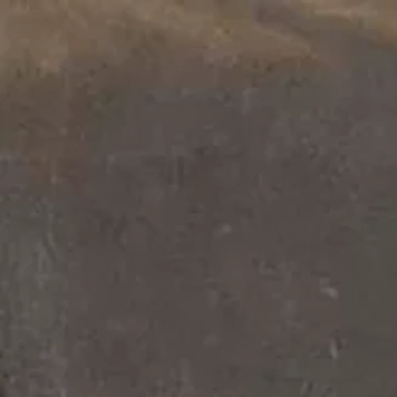 NFL Carolina Panthers Adventure Wine Tote