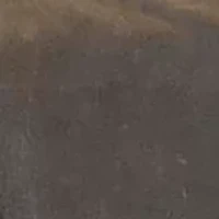 NFL Carolina Panthers Adventure Wine Tote