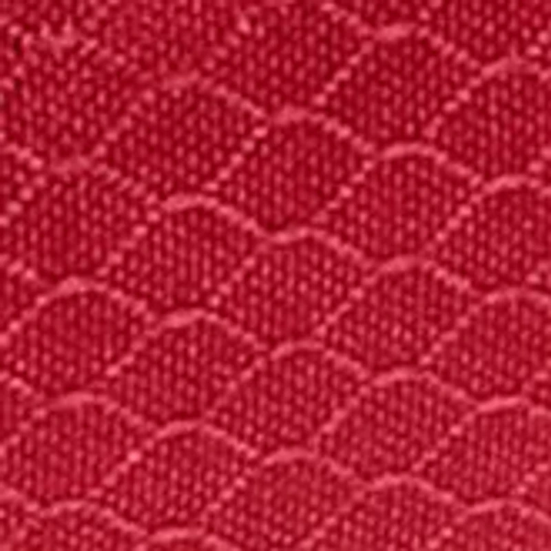 NCAA Arkansas Razorbacks Pranzo Lunch Tote