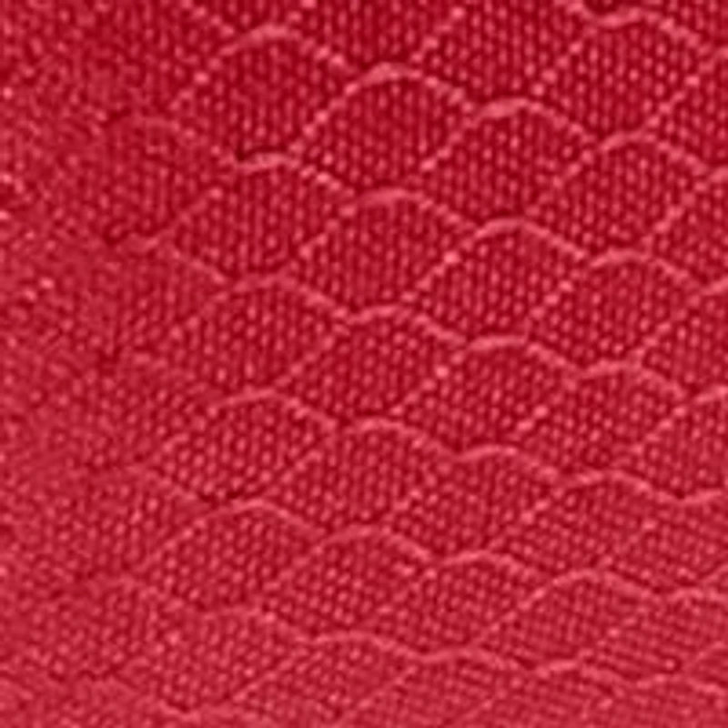 NHL Detroit Red Wings Pranzo Lunch Cooler Bag