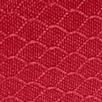 NCAA Iowa State Cyclones Pranzo Lunch Tote