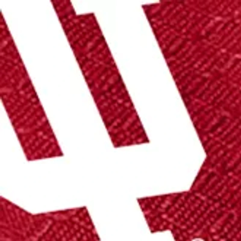 NCAA Indiana Hoosiers Pranzo Lunch Tote