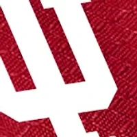 NCAA Indiana Hoosiers Pranzo Lunch Tote