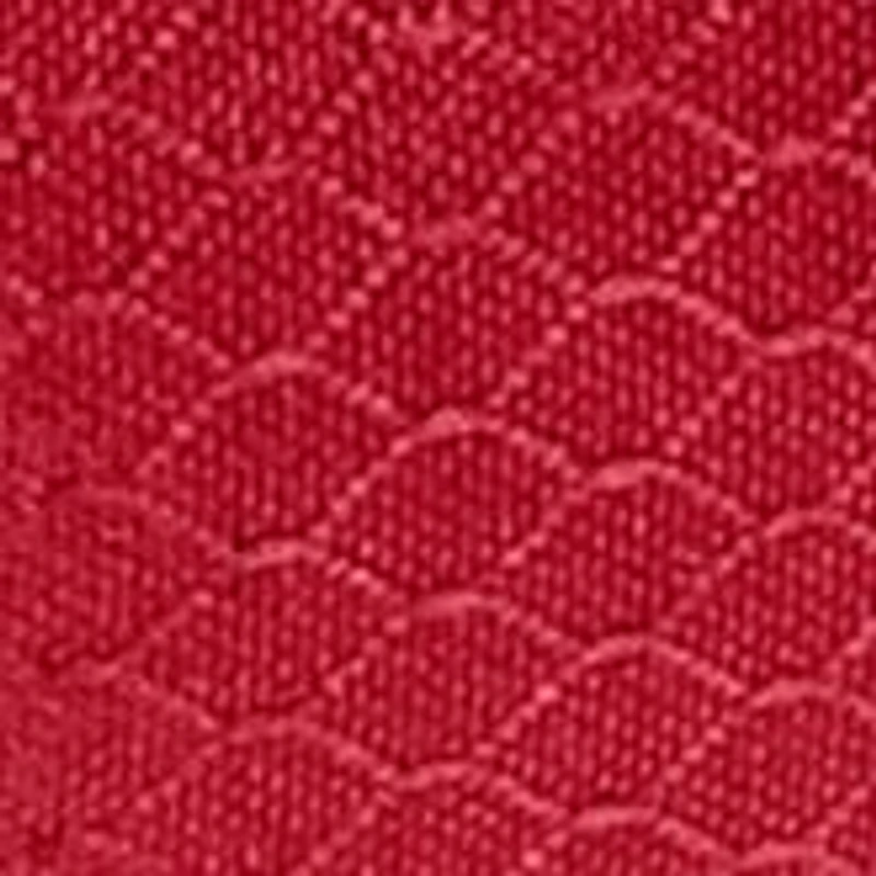 NCAA Cornell Big Red Pranzo Lunch Tote