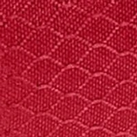 NCAA Cornell Big Red Pranzo Lunch Tote