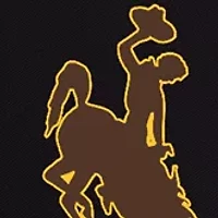  NCAA Wyoming Cowboys Tahoe XL Cooler Tote Bag