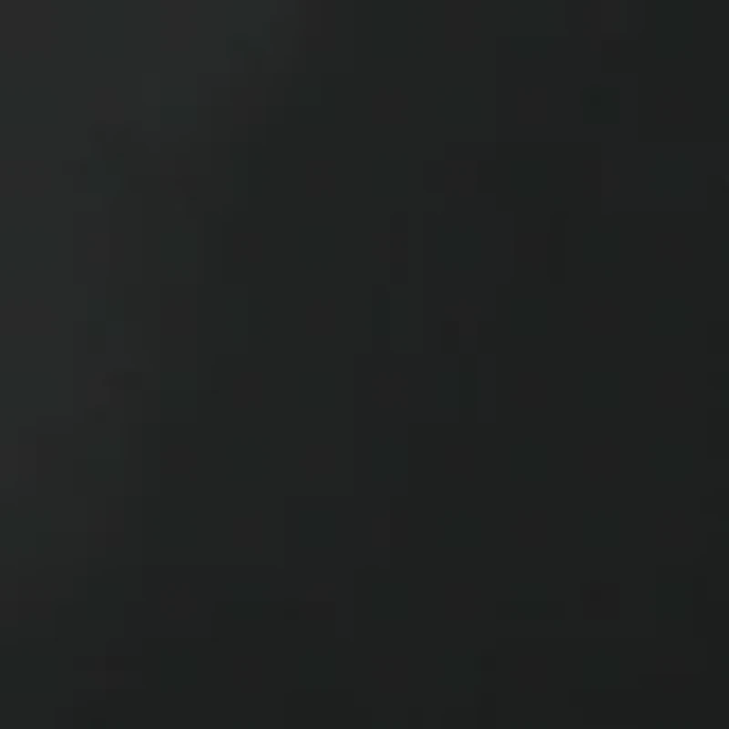 NFL Oakland Raiders Activo Cooler Tote