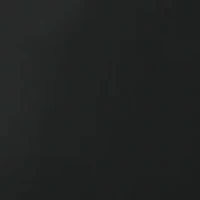 NFL Oakland Raiders Activo Cooler Tote