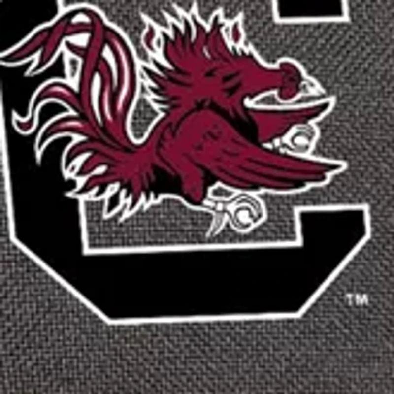 NCAA South Carolina Gamecocks Duet Wine and Cheese Tote