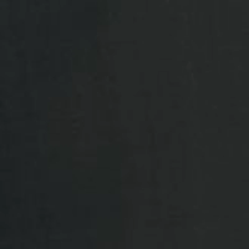 NFL Carolina Panthers Portable Reclining Seat