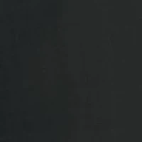 NFL Carolina Panthers Portable Reclining Seat