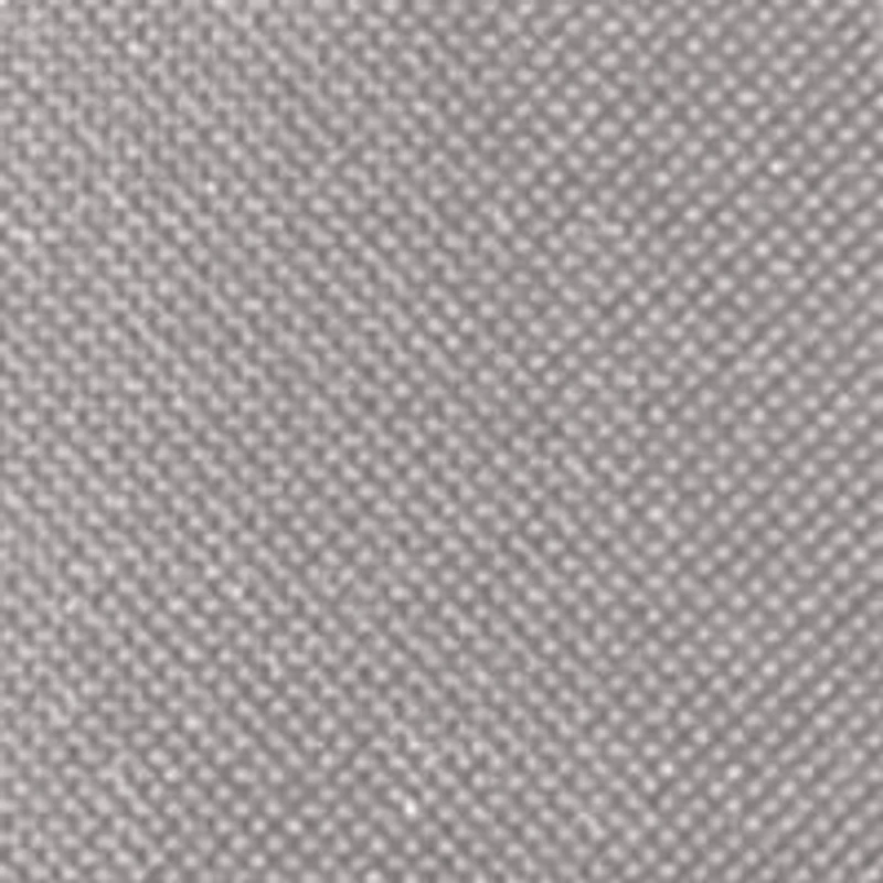 NHL Washington Capitals PTX Backpack Cooler