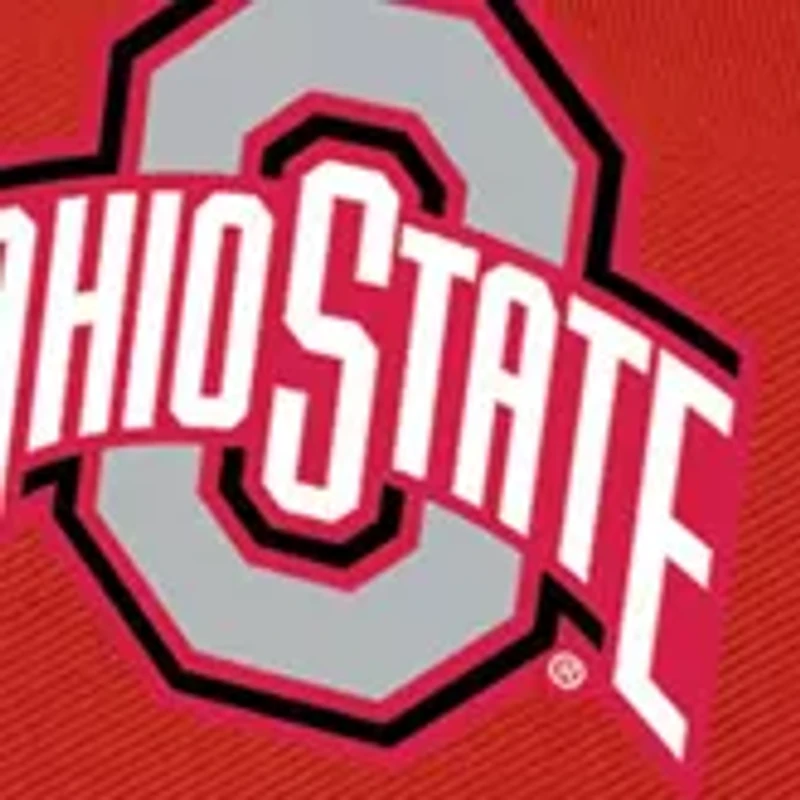 NCAA Ohio State Buckeyes Zuma Backpack Cooler