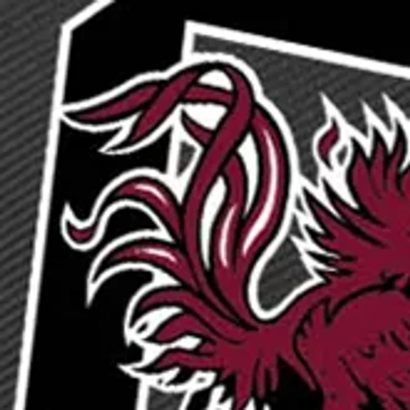 NCAA South Carolina Gamecocks Zuma Backpack Cooler