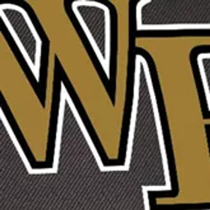 NCAA Wake Forest Demon Deacons Turismo Travel Backpack Cooler