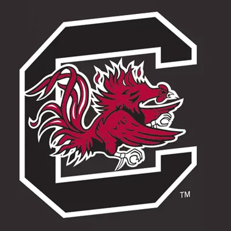 South Carolina Gamecocks Picnic Basket