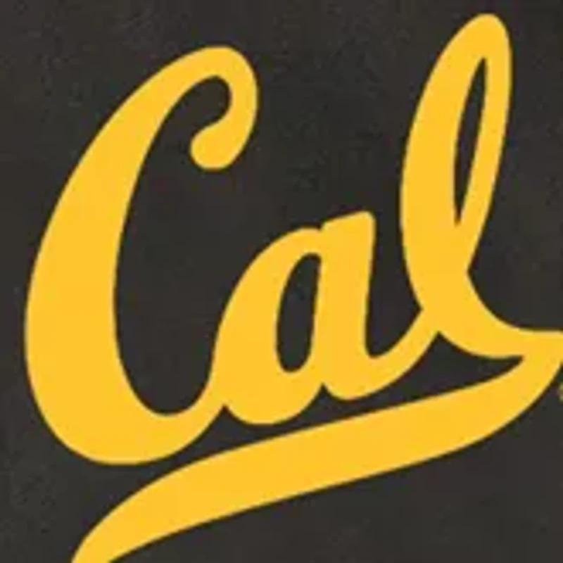 NCAA Cal Bears Potluck Casserole Tote