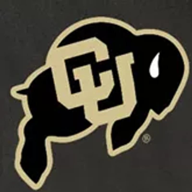 NCAA Colorado Buffaloes Potluck Casserole Tote