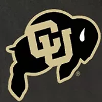 NCAA Colorado Buffaloes Potluck Casserole Tote