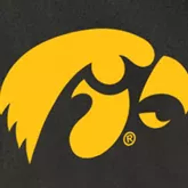 NCAA Iowa Hawkeyes Potluck Casserole Tote