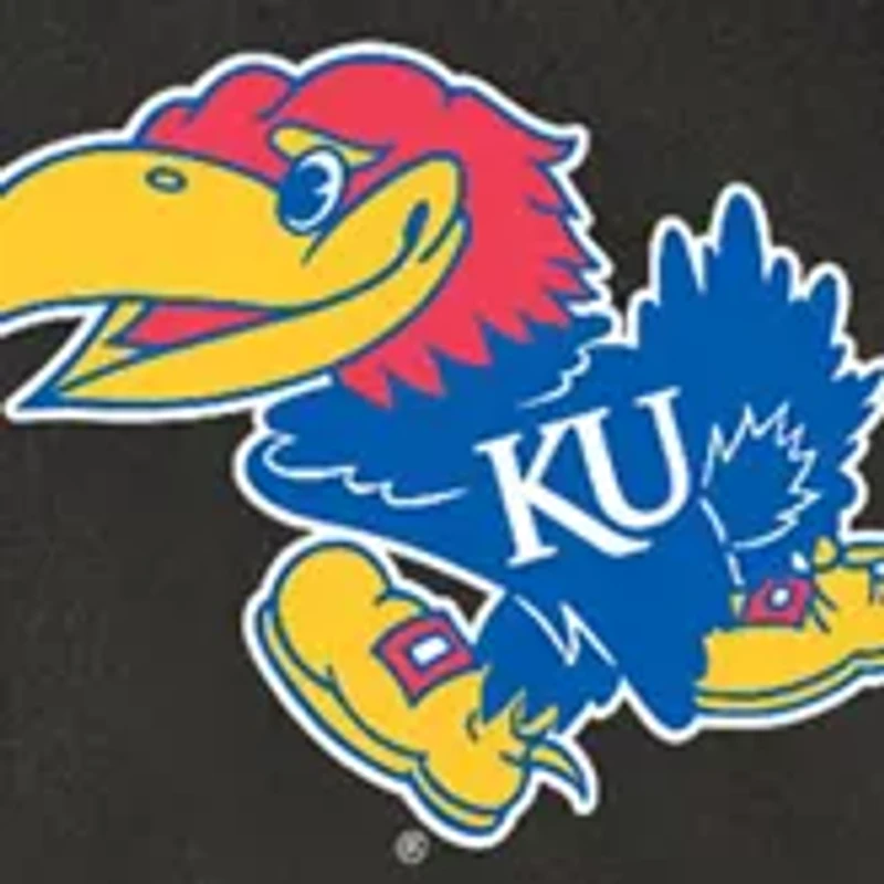 NCAA Kansas Jayhawks Potluck Casserole Tote