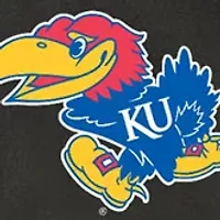 NCAA Kansas Jayhawks Potluck Casserole Tote