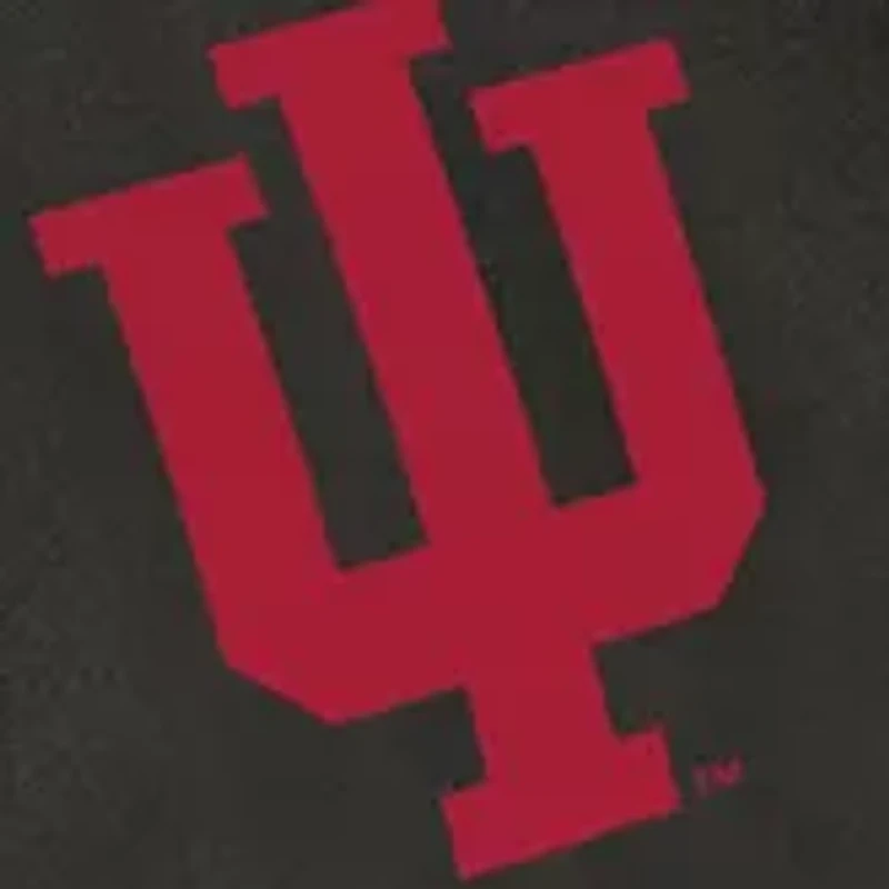 NCAA Indiana Hoosiers Potluck Casserole Tote