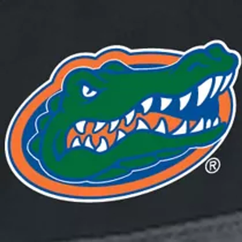 Florida Gators 4-Piece BBQ Tote