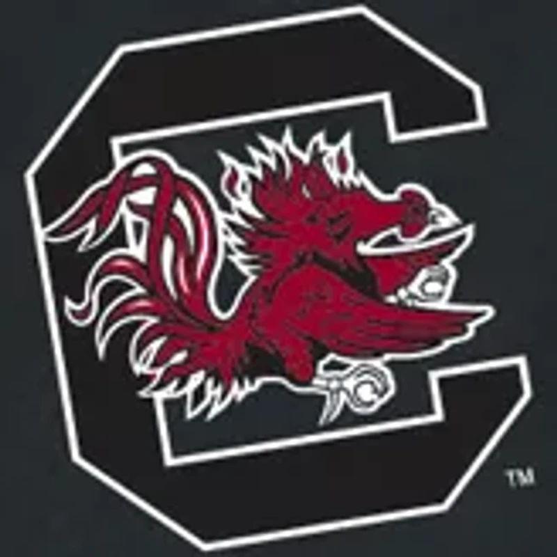 South Carolina Gamecocks 3-Piece Tool Set and BBQ Tote