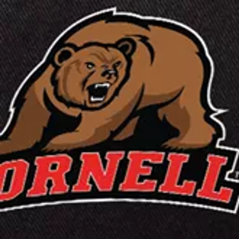 NCAA Cornell Big Red Tranquility Portable Beach Chair