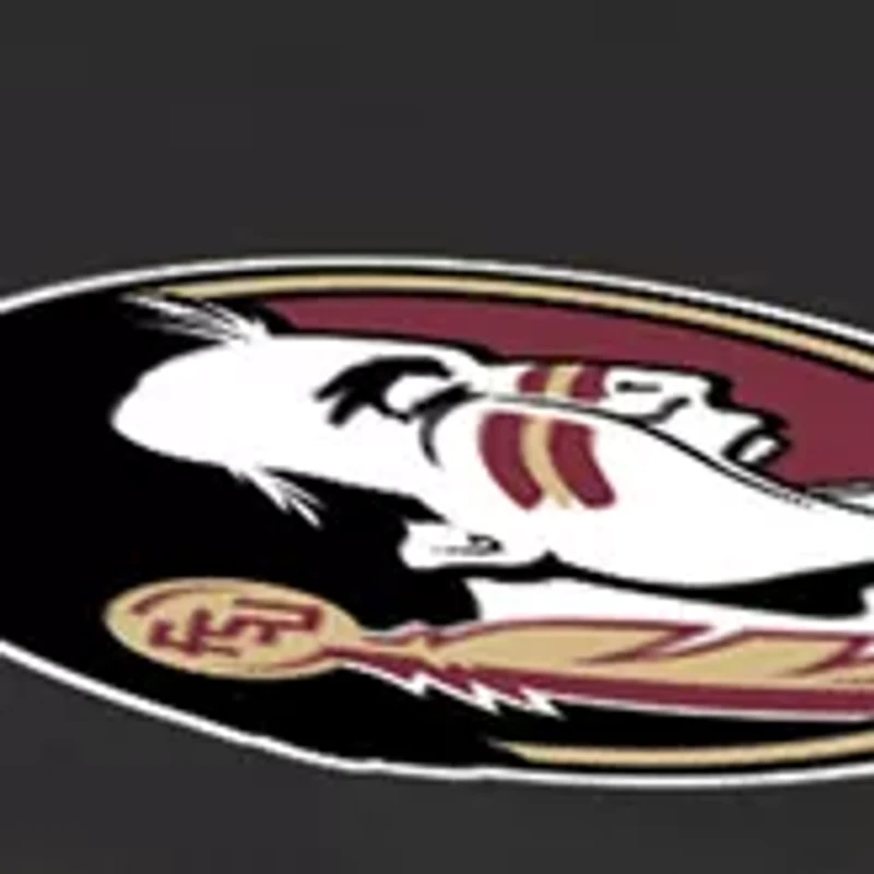 NCAA Florida State Seminoles Travel Table Portable Folding Table