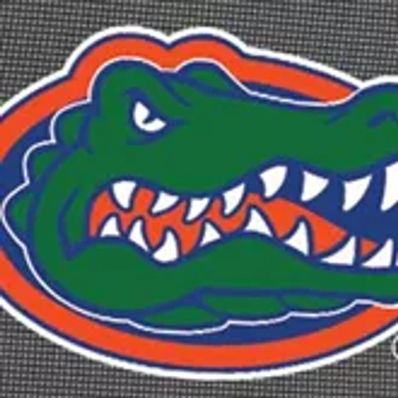 NCAA Florida Gators Fusion Backpack Chair with Cooler