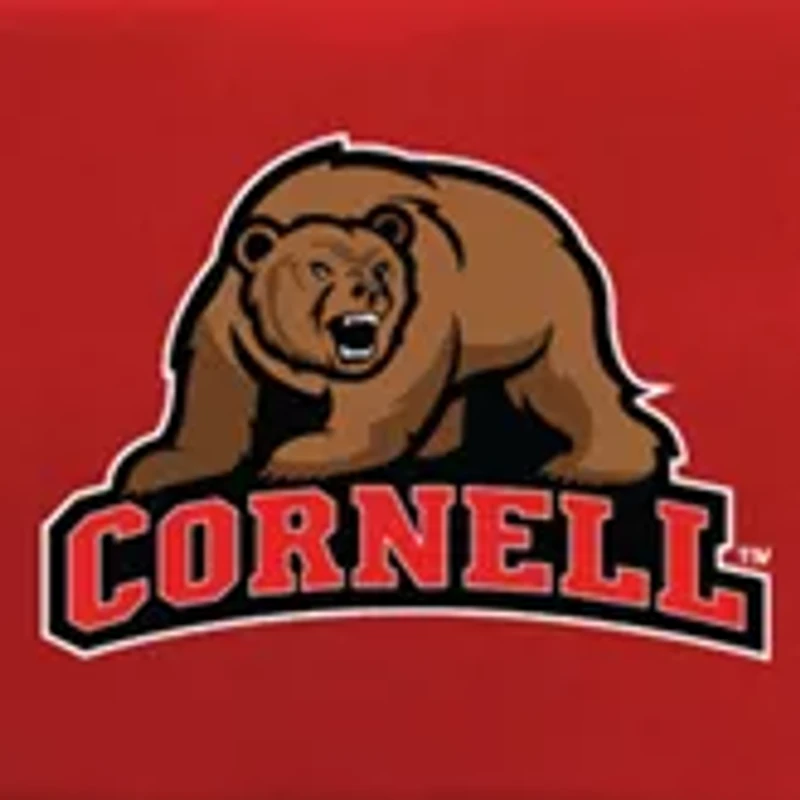 NCAA Cornell Big Red Sports Chair