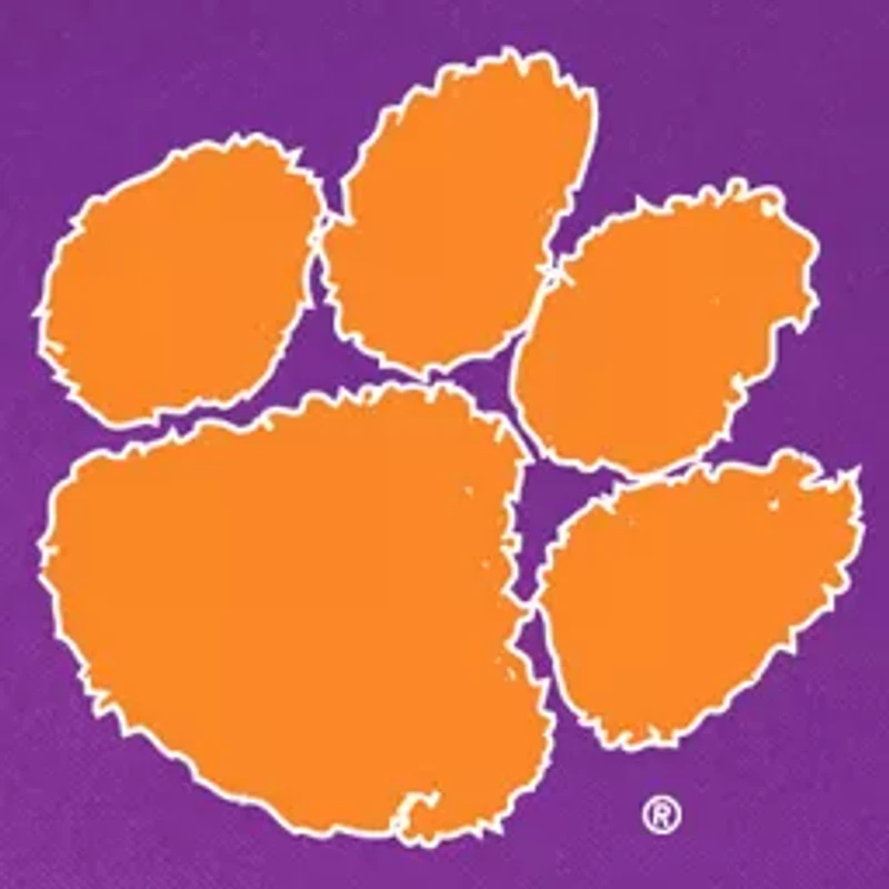 Clemson Tigers Sports Chair