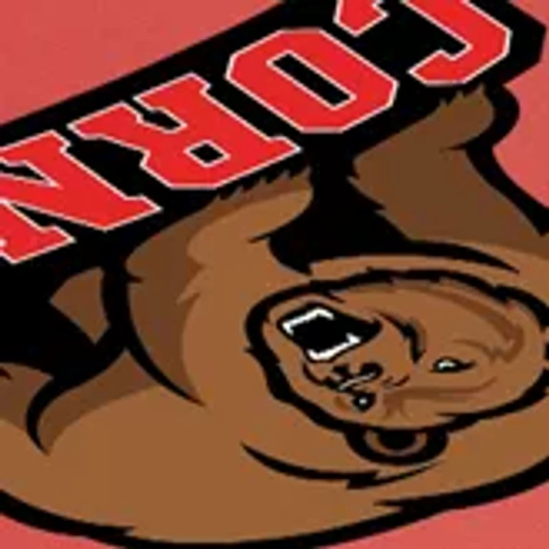 NCAA Cornell Big Red Picnic Table Portable Folding Table with Seats