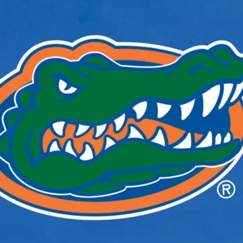 Florida Gators Picnic Table