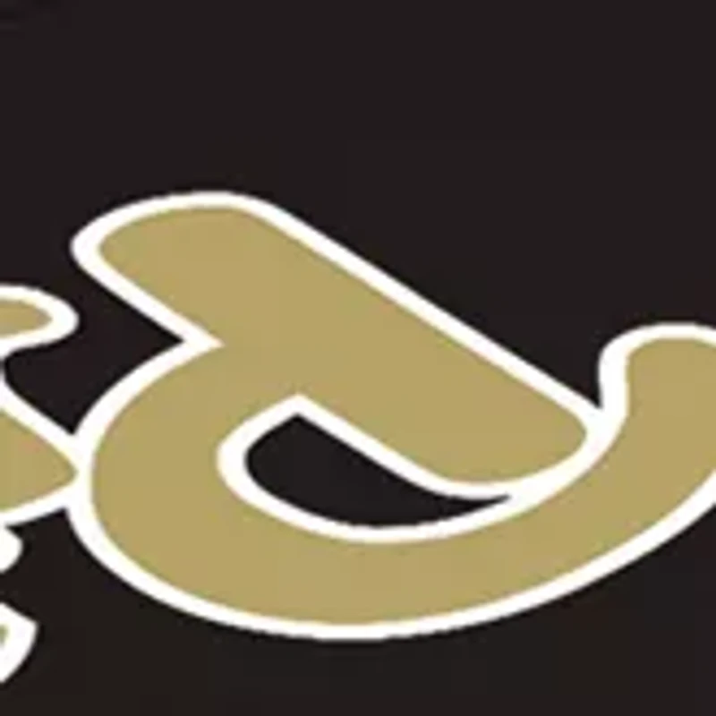 NCAA Pittsburgh Panthers Picnic Table Portable Folding Table with Seats