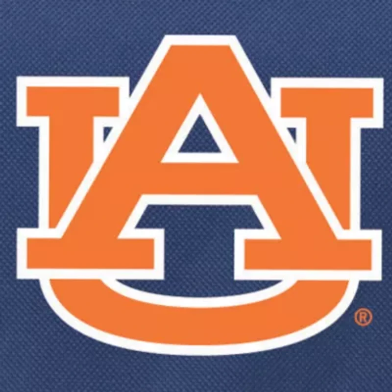 Auburn Tigers Blanket Tote