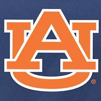 Auburn Tigers Blanket Tote