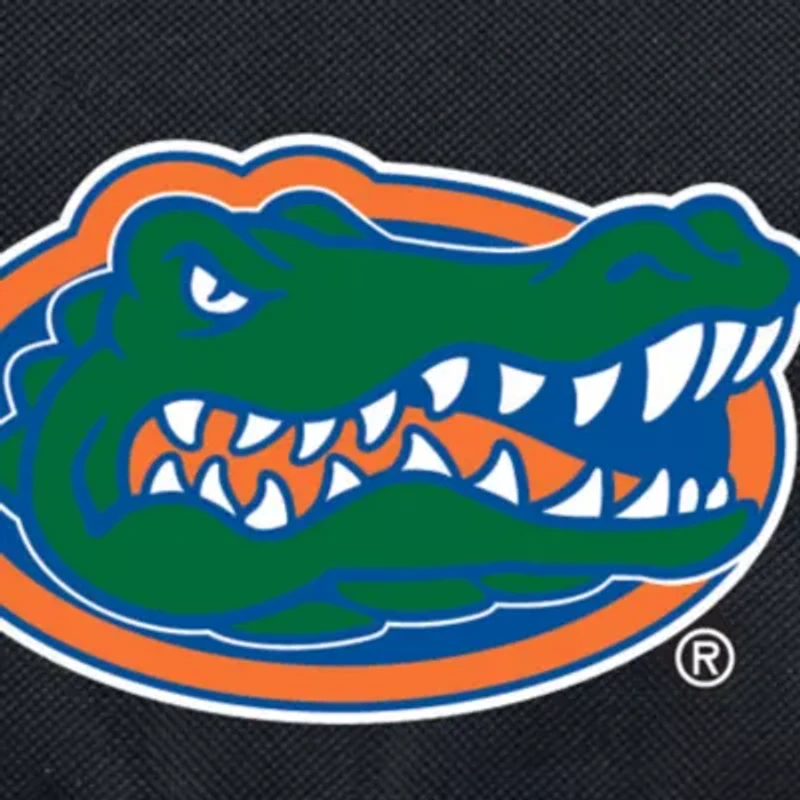 Florida Gators Blanket Tote