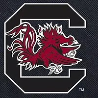 South Carolina Gamecocks Blanket Tote