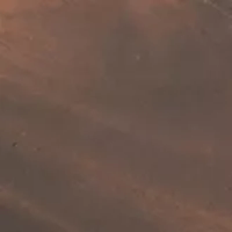 MLB Toronto Blue Jays Lazy Susan Serving Tray