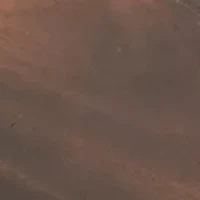 MLB Toronto Blue Jays Lazy Susan Serving Tray