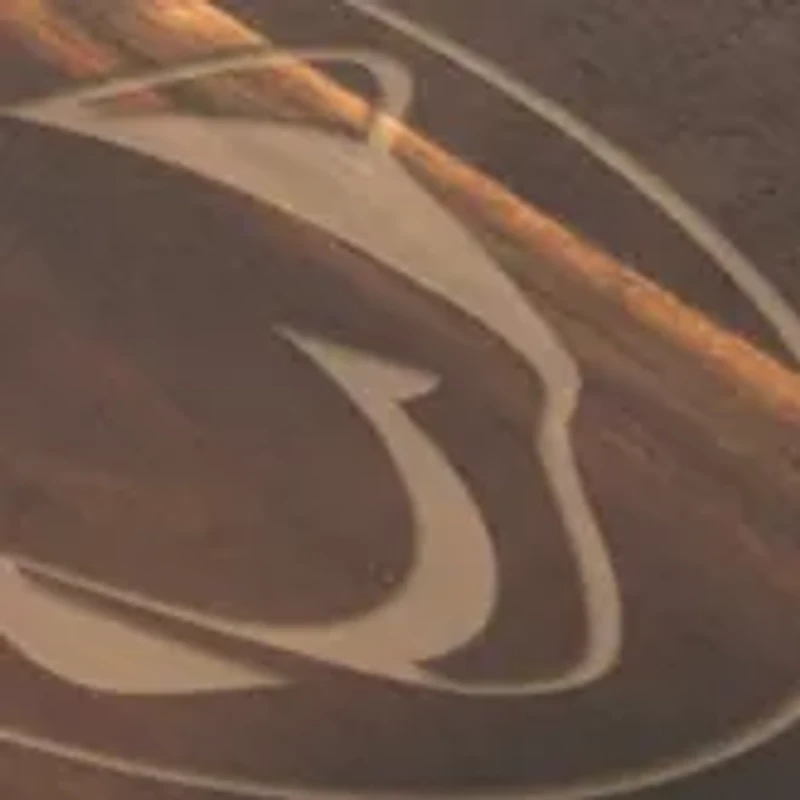 NCAA Penn State Nittany Lions Lazy Susan Serving Tray