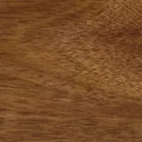 NCAA Cornell Big Red Delio Acacia Cheese Cutting Board & Tools Set