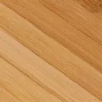 NCAA Minnesota Golden Gophers Home Run! Baseball Cutting Board & Serving Tray