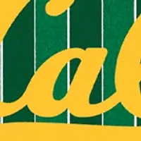 NCAA California Bears Icon Glass Top Cutting Board & Knife Set